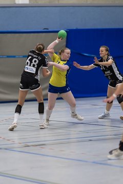 Bild 237 - F HSG Pinnau2 - Rellinger TV2 : Ergebnis: 27:20